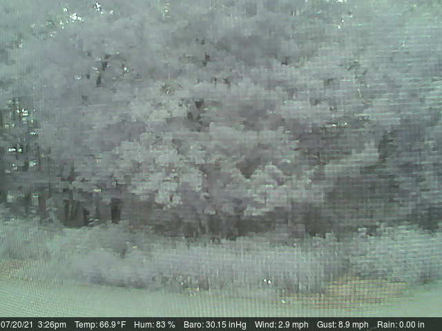 Weather webcam at a home near Saginaw Minnesota